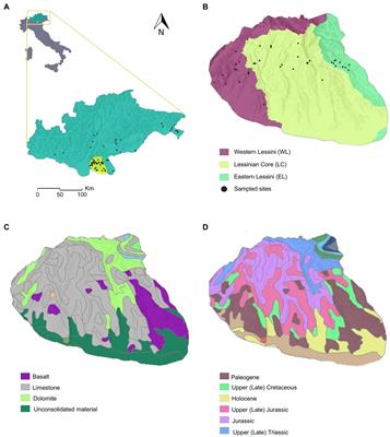 Environmental factors shaping copepod distributions in cave waters of the Lessinian unsaturated karst (NE-Italy)